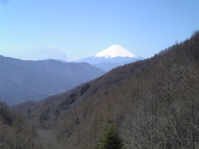 柳沢峠から見た富士山（日中）